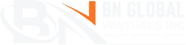 BN GLOBAL VENTURES INC logo